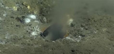 leak in pacific ocean|Giant Hole at the Bottom of the Ocean Is Leaking Strange Liquid。